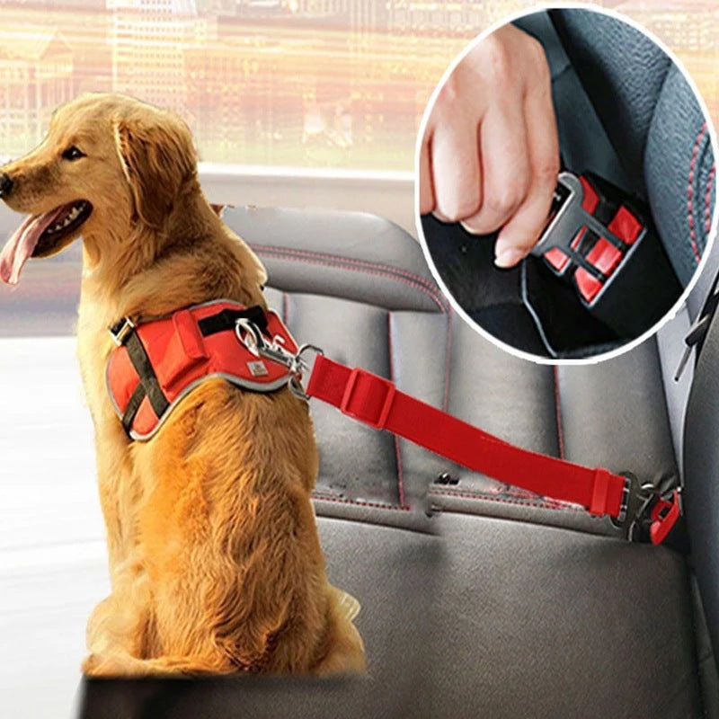 Ceinture de Sécurité Ajustable pour Chiens et Chats