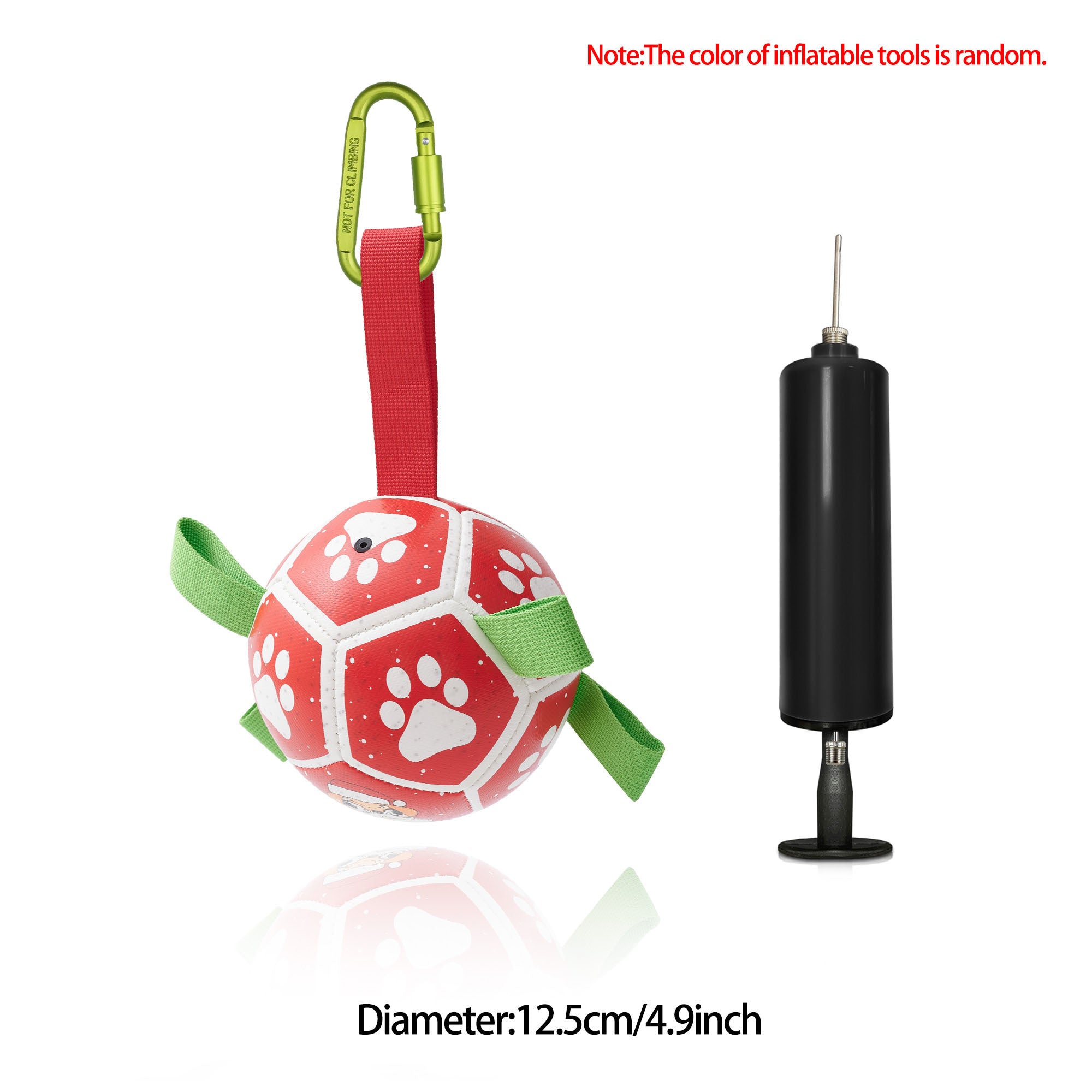 Ballon de Football Interactif pour Chien