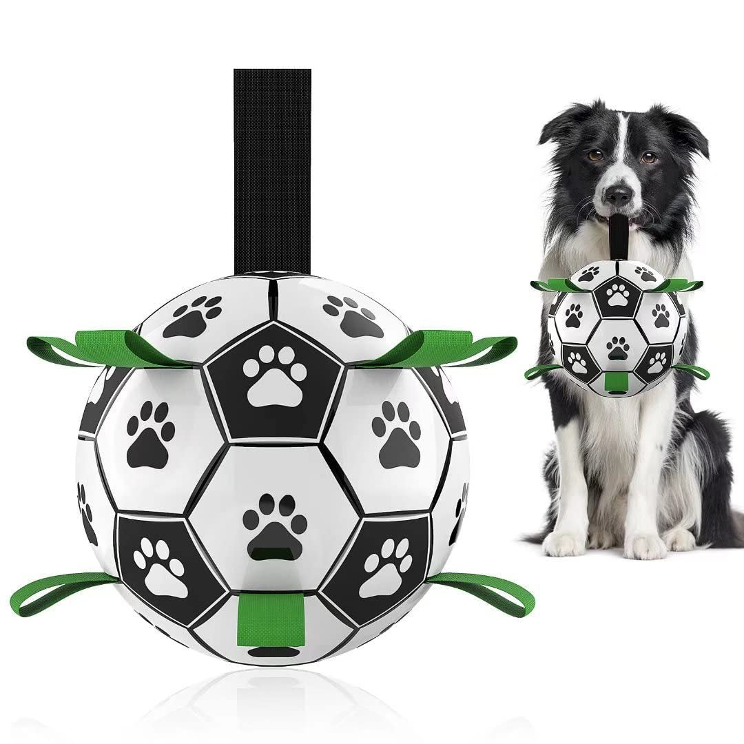 Ballon de Football Interactif pour Chien