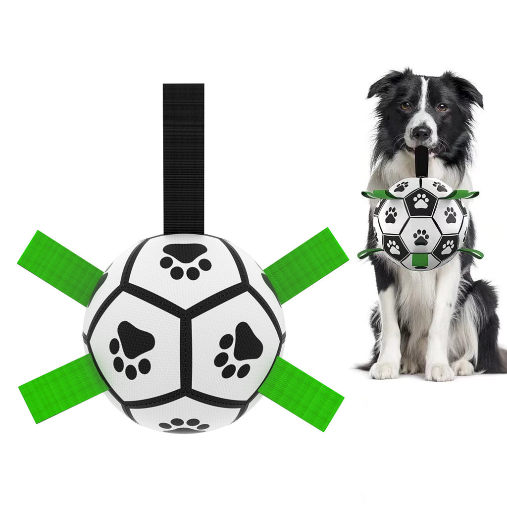 Ballon de Football Interactif pour Chien