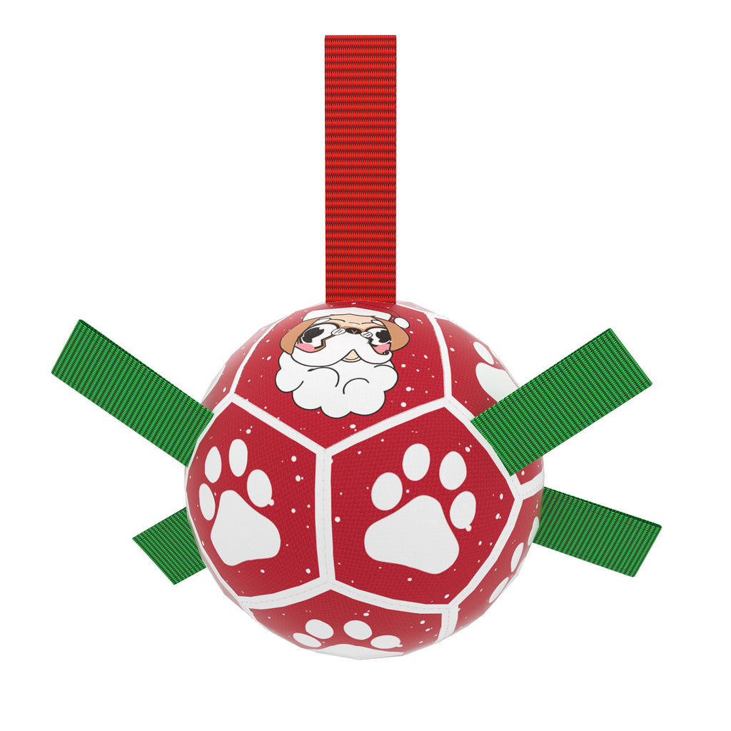 Ballon de Football Interactif pour Chien