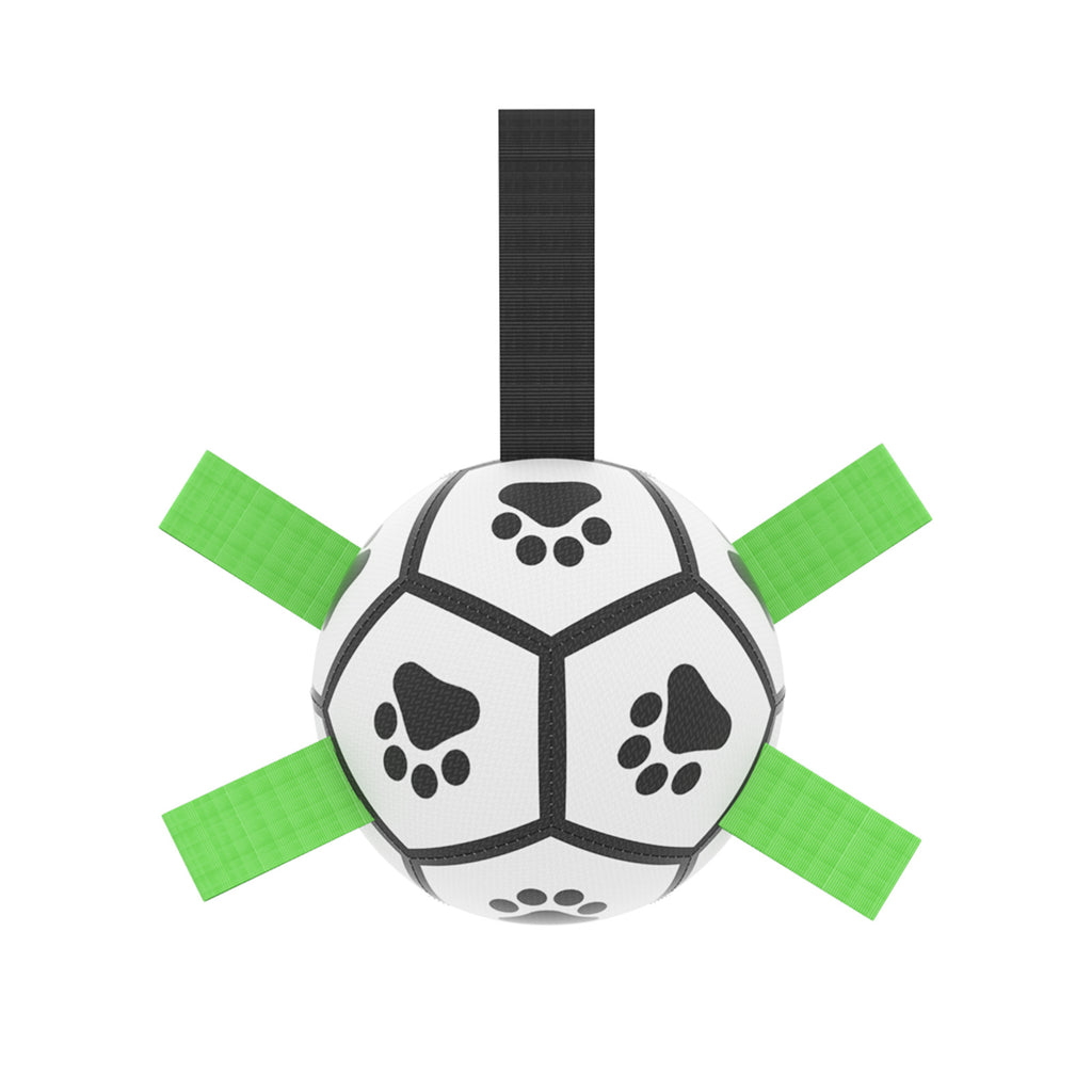 Ballon de Football Interactif pour Chien