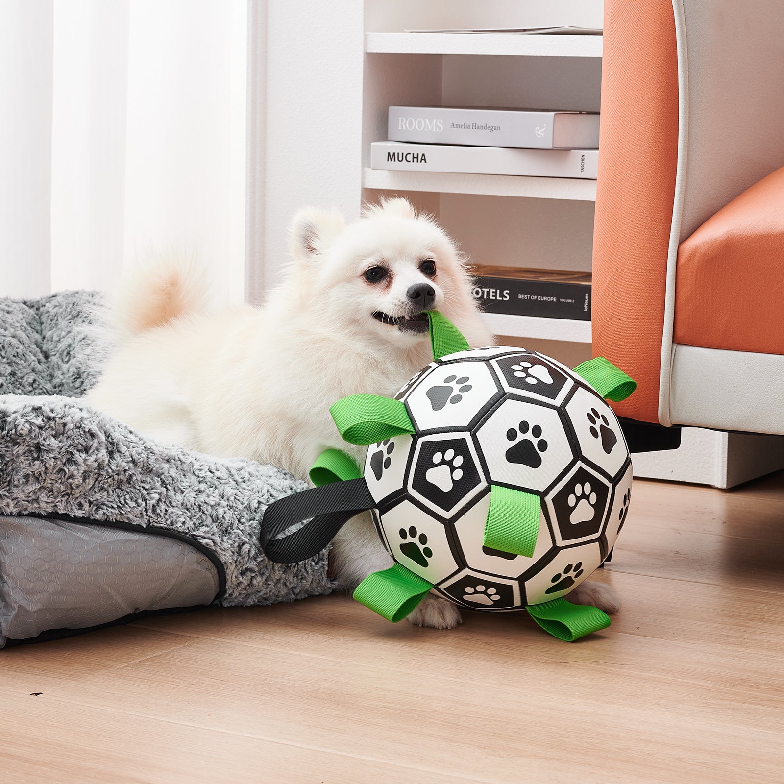 Ballon de Football Interactif pour Chien