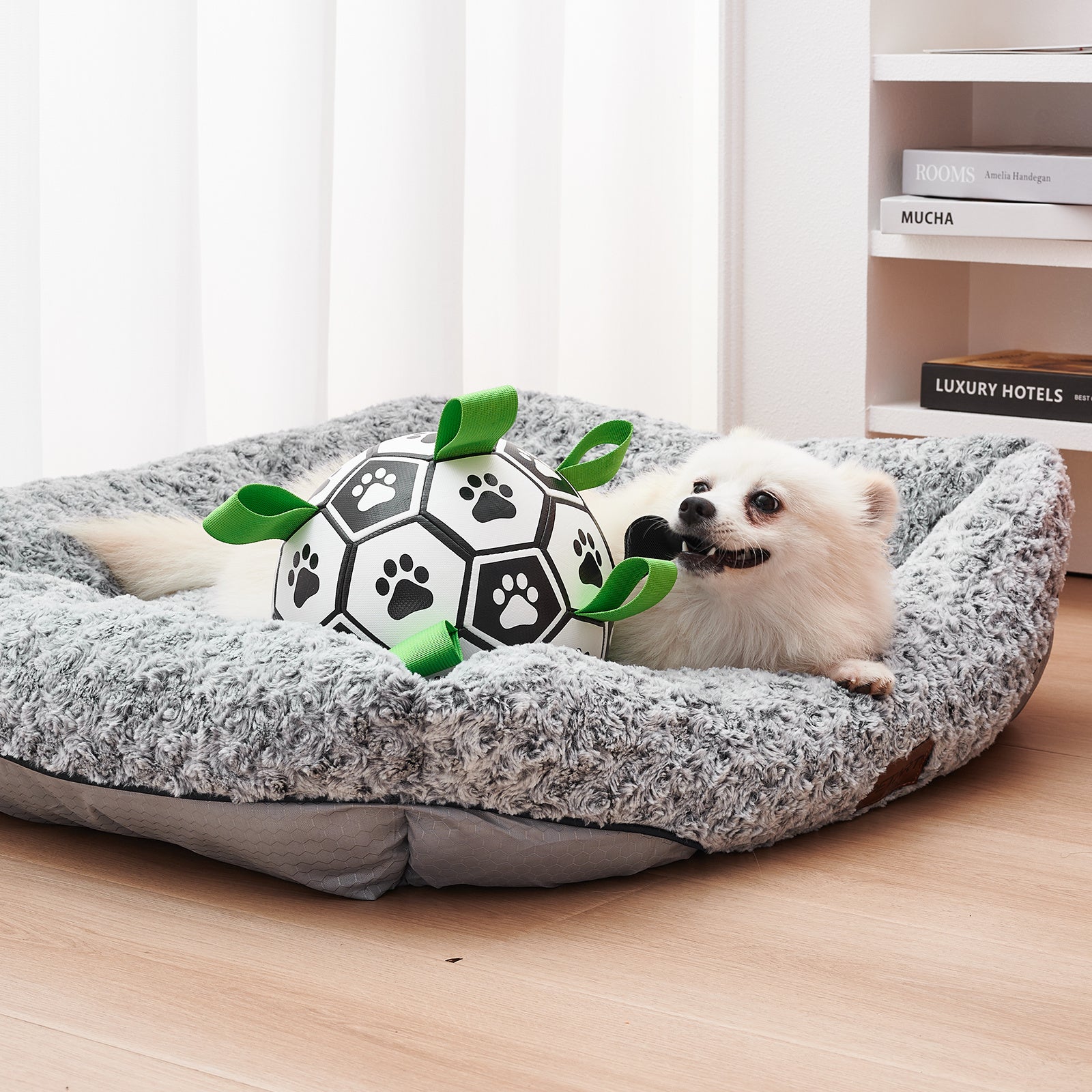 Ballon de Football Interactif pour Chien