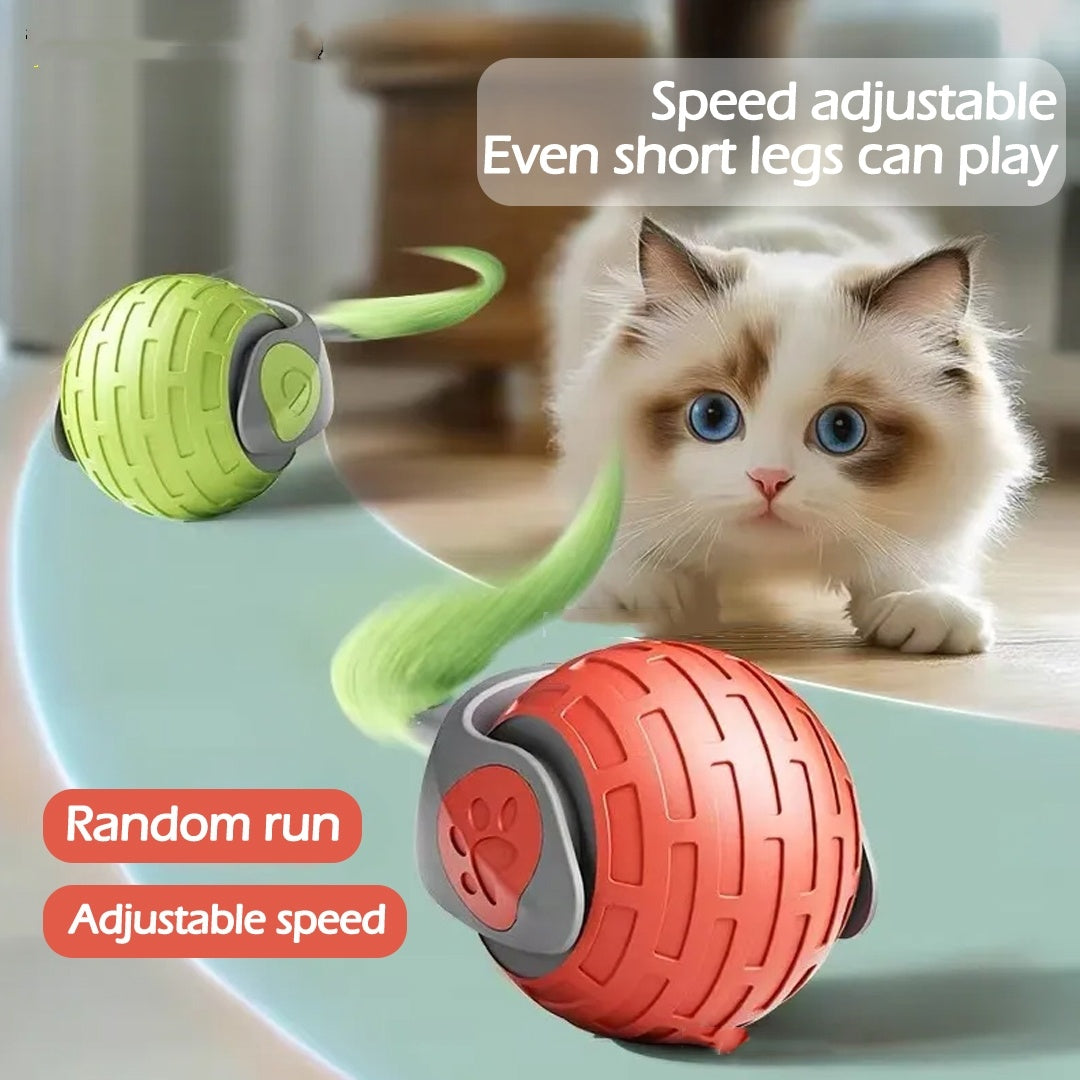 Balle Électrique Interactif pour Chat – Jeu Autonome & Stimulation Mentale