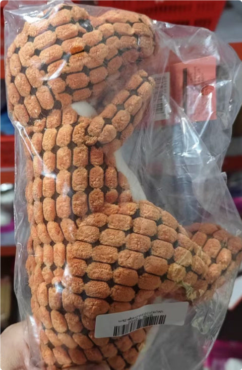 Jouet Dinosaure Interactif pour Chiens