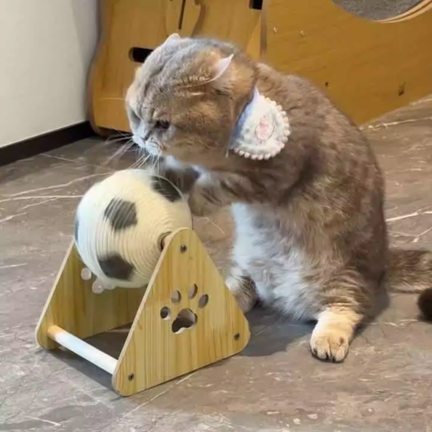 Grattoir Vertical en Bois pour Chat