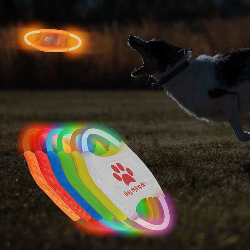 Disque Volant Lumineux pour Chien