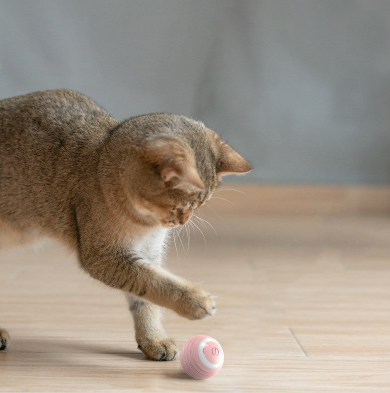Balle Interactive Autonome pour Chats Actifs