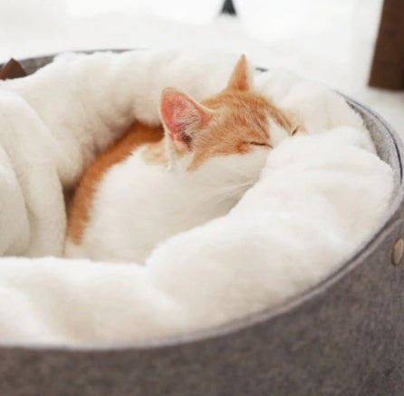Panier Douillet pour Chats – Lit Rond Ultra-Confortable avec Bordure Élevée