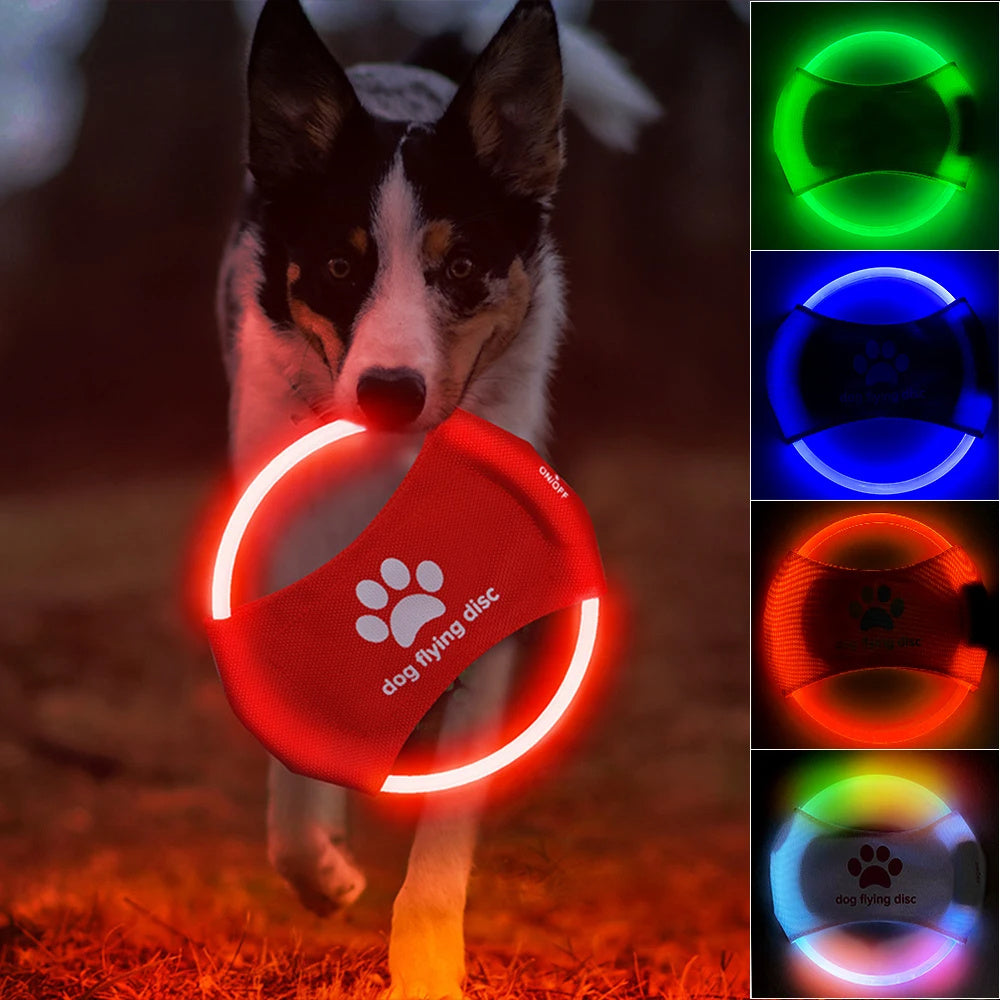 Disque Volant Lumineux pour Chien