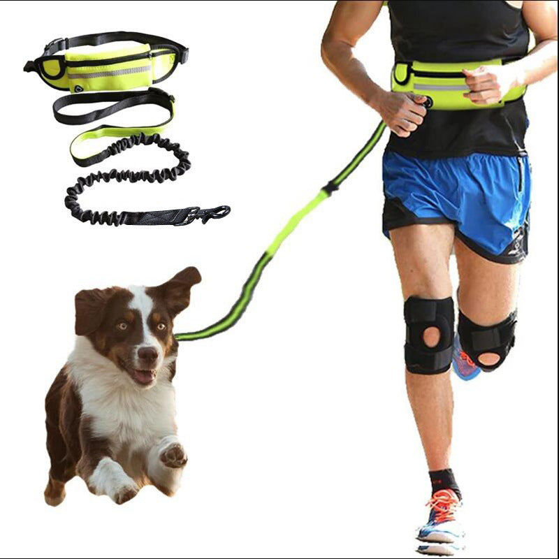Laisse Mains-Libres pour Chien avec Ceinture et Absorption de Chocs
