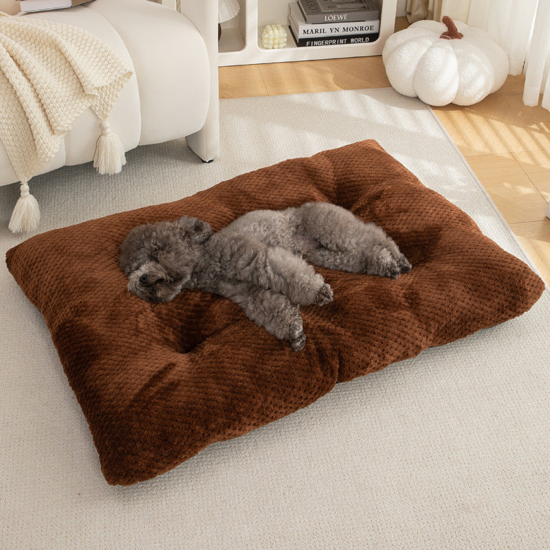 Tapis Chauffant pour Chat