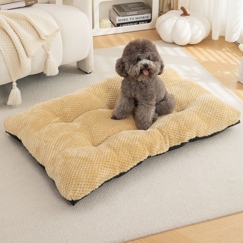 Tapis Chauffant pour Chat