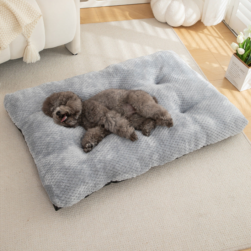 Tapis Chauffant pour Chat