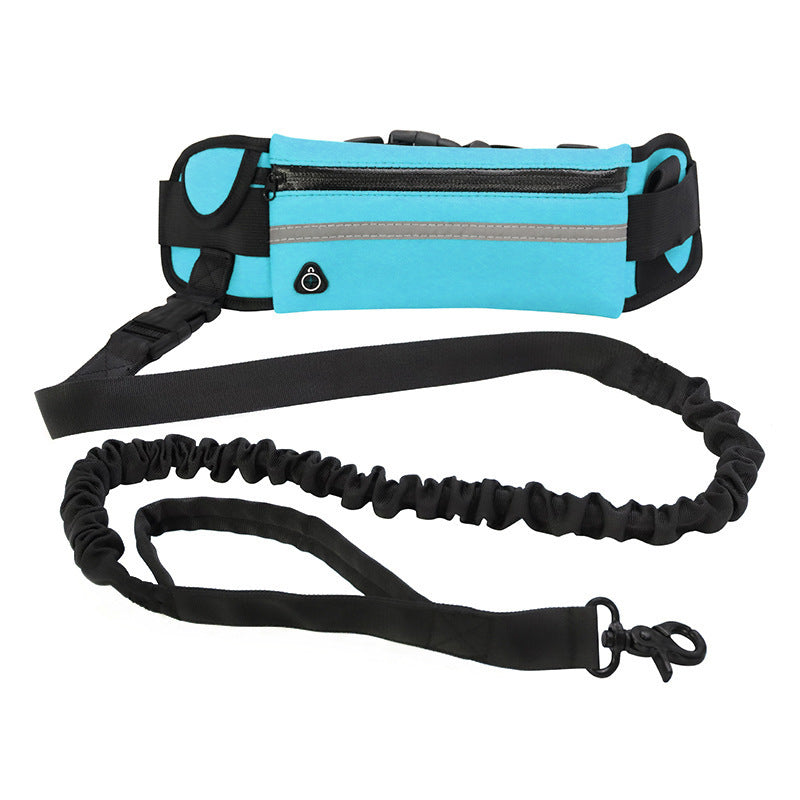 Laisse Mains-Libres pour Chien avec Ceinture et Absorption de Chocs