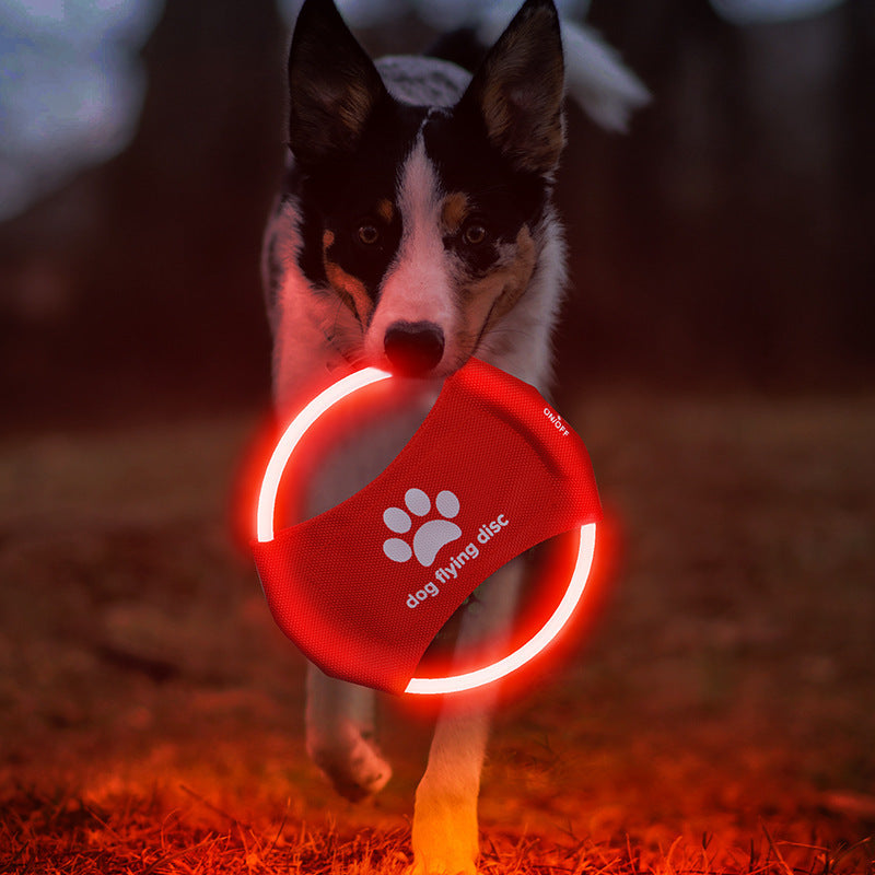 Disque Volant Lumineux pour Chien