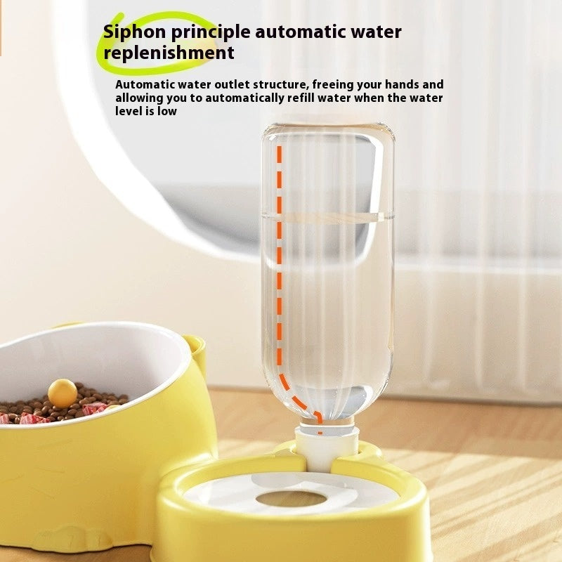 Gamelle Double Automatique – Inox & Céramique pour Eau & Nourriture